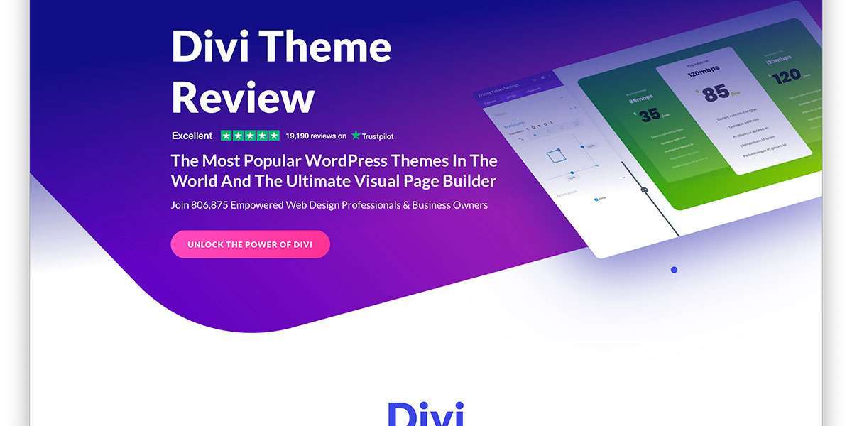 Elevate Your Web Design with Divi