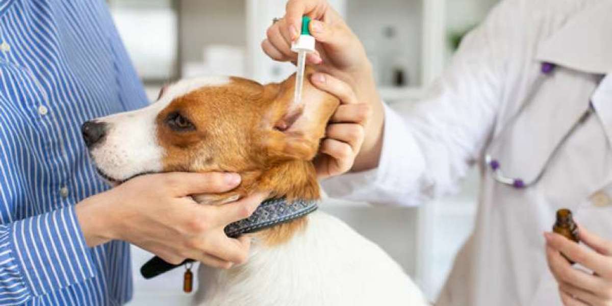 Desvendando a Função Hepática Veterinária: Cuidados Essenciais para a Saúde do Seu Animal