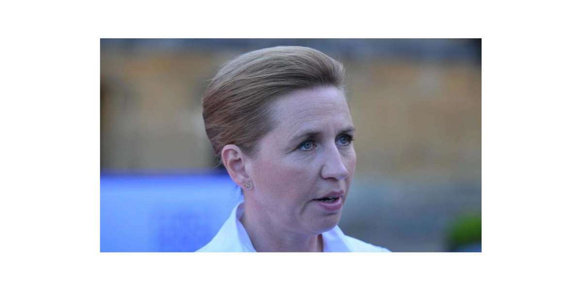 Polish Man Sentenced for Assaulting Danish Prime Minister Mette Frederiksen