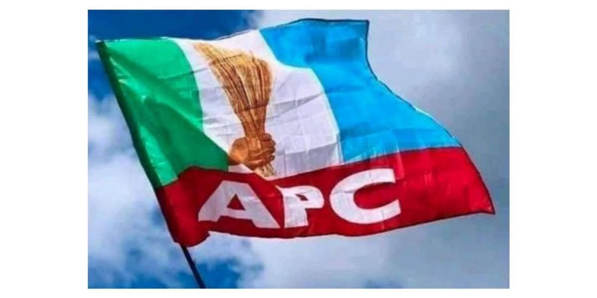 APC’s Ndubuisi Emeh challenges Labour Party on Local Government Election conduct